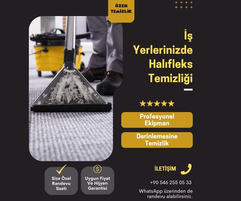 Ev Temizliği Çalışması